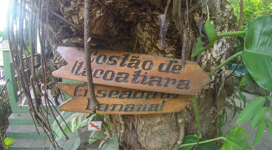 Image: https://minutonoticia.com/wp-content/uploads/2020/04/postiimg-5ea22e11116964660.jpg