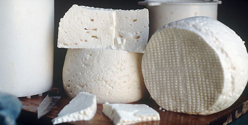 Fabricao de queijos artesanais - Revista Globo Rural GR Responde
