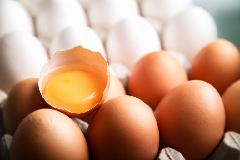 Como transformar os ovos em aliados da dieta
